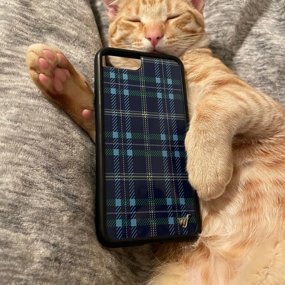 plaid wildflower case